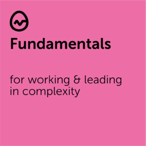 Fundamentals for working and leading in complexity